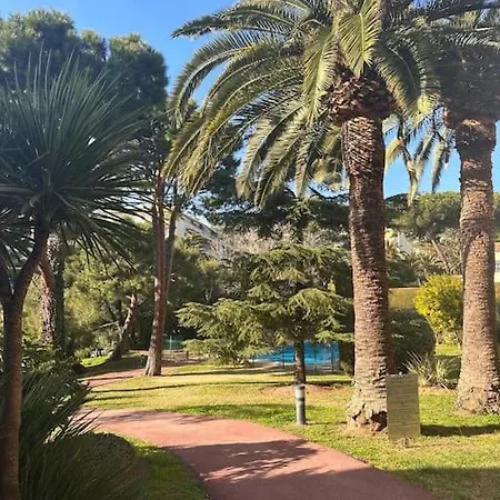 Aime Marin - - Belle Avec Terrasse Et Piscine 니스